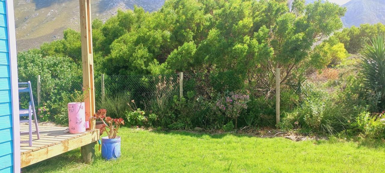 Cat Nap Cottage Bettyʼs Bay Eksteriør bilde
